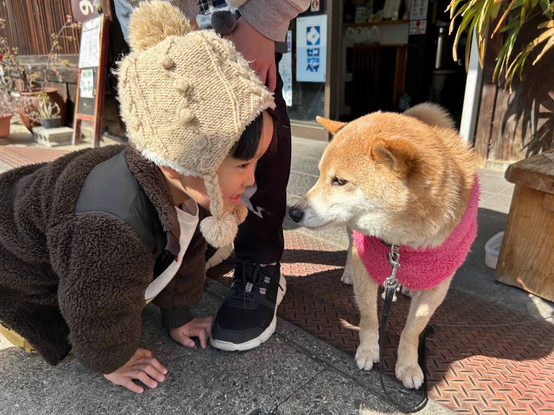 【すまいる】お散歩